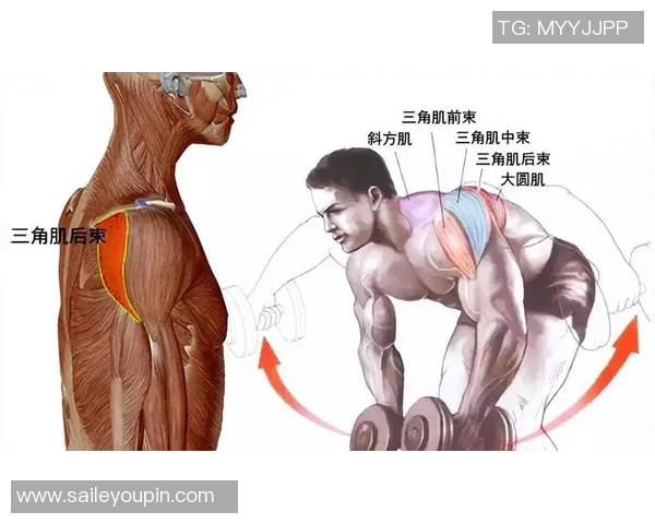 俯身飞鸟哑铃训练法助你塑造完美肩背线条与增强核心力量